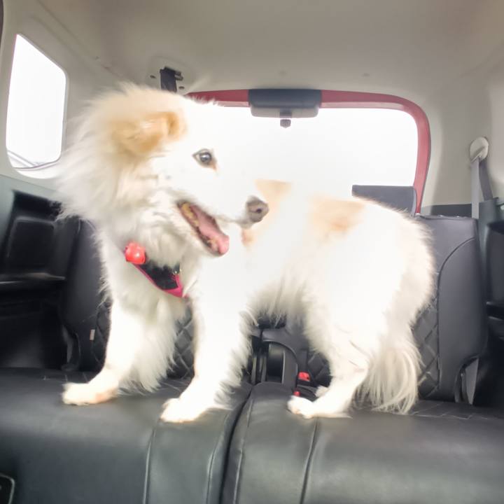 Be6f402d 6660 4a11 859c a803f8367825 1749776475163