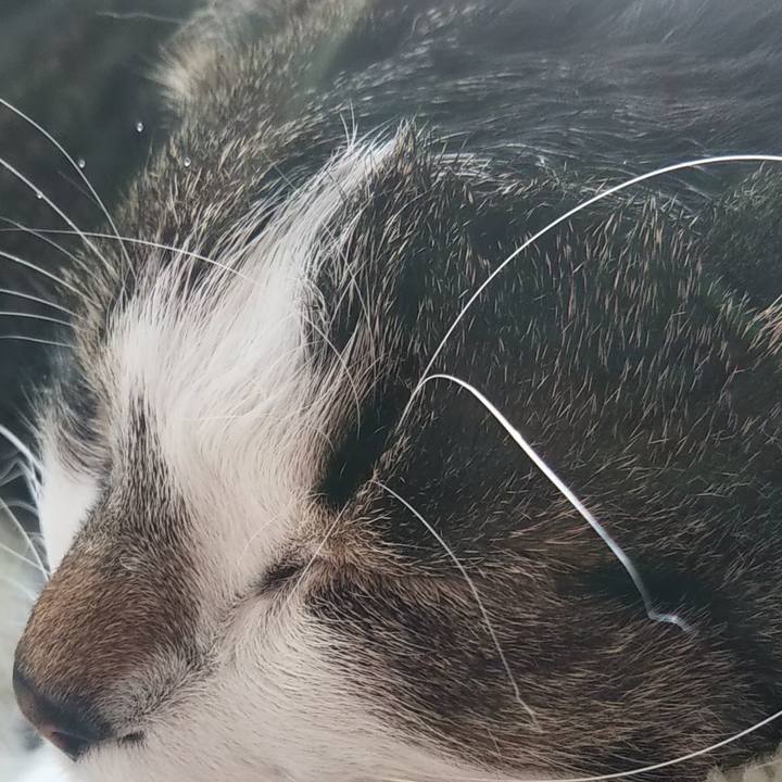 Be6f54ab 437e 47c9 8d69 71439a86fdb6 1611036637694