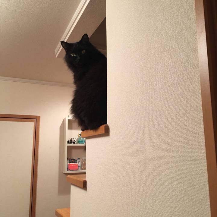 Be6fd8bf 0cc9 49a4 b195 4e1ca2b4f173 1573135203633