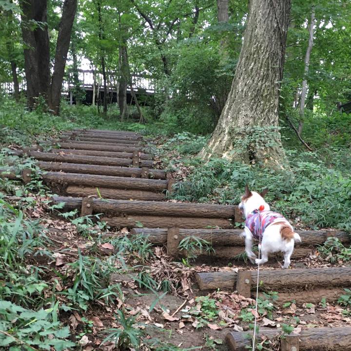 Be6fdb89 7761 46da 8f96 738c5173b16c 1629507584657