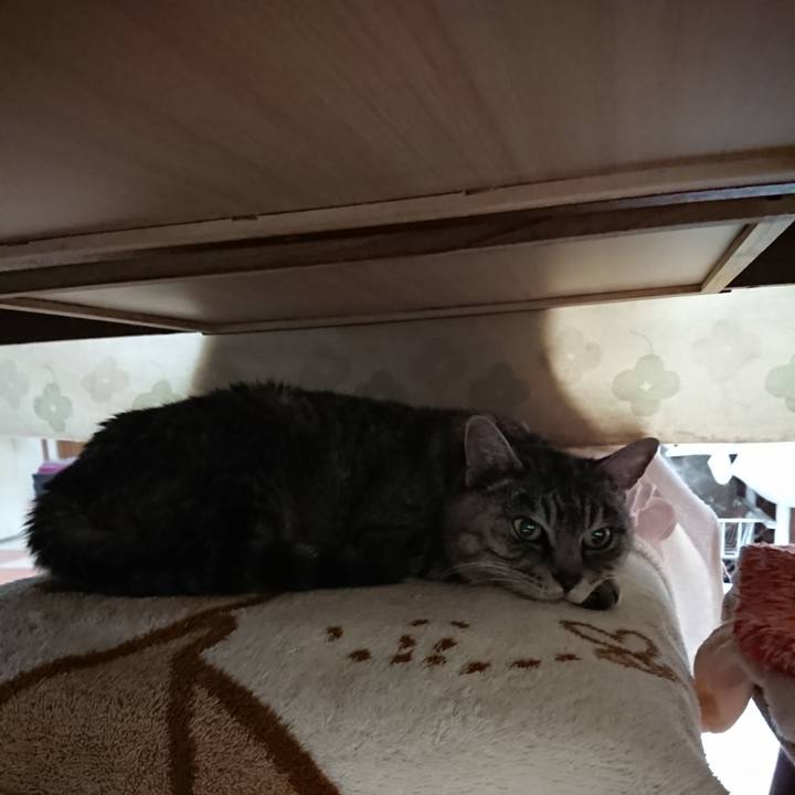 Be6feb6c 362b 44ad aaad b2b6104c1626 1575496293973