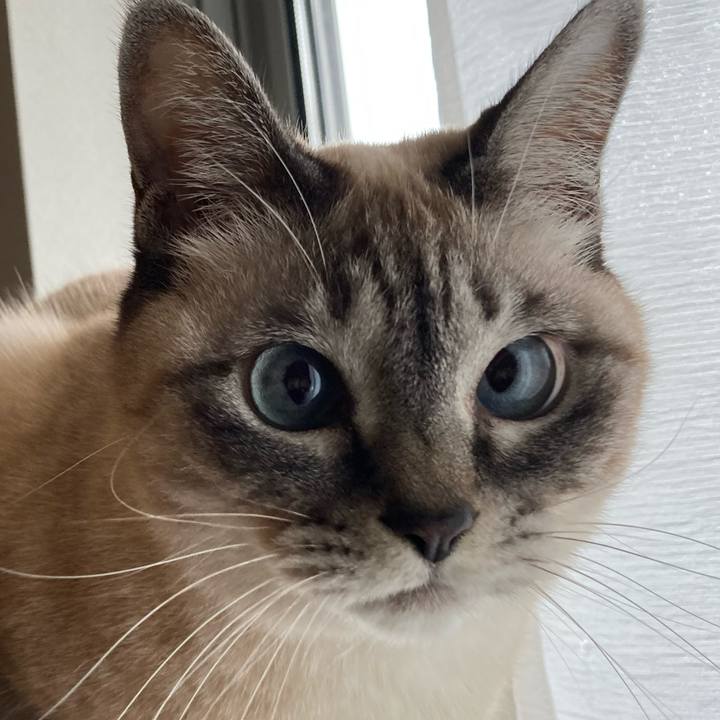 Be700140 7b87 496e ab62 e8d6256c6856 1766198740417