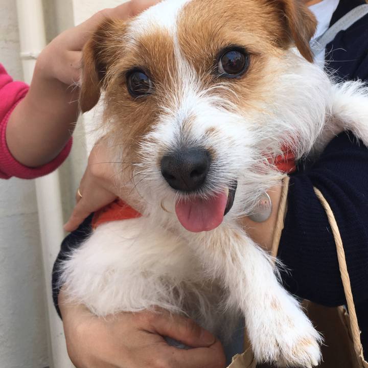 Be70277d f526 48cd 9f62 86d2235ee2ec 1524368024979