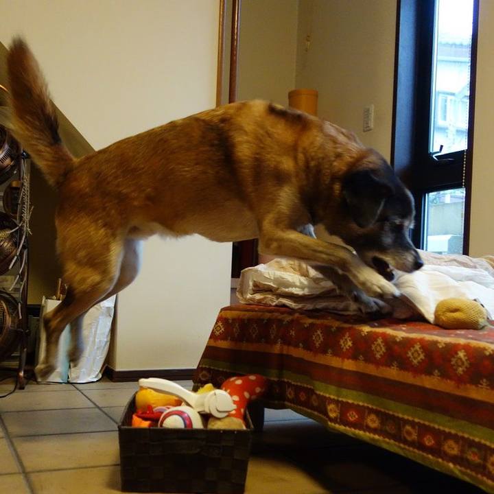 Be705430 04f9 490c b074 8365c2884a1a 1509153140844