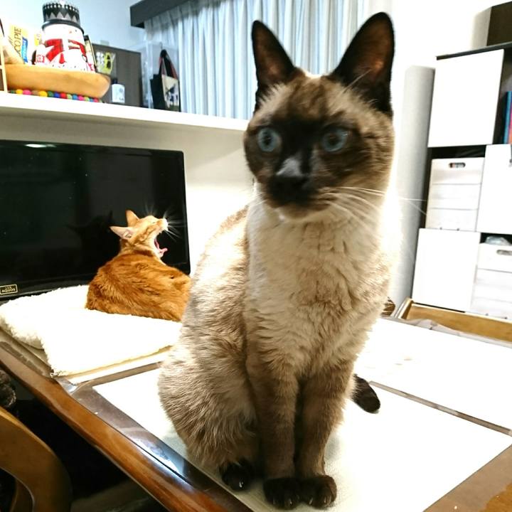 Be707ede 92fa 40c0 92e6 69ccb105693f 1545340479383