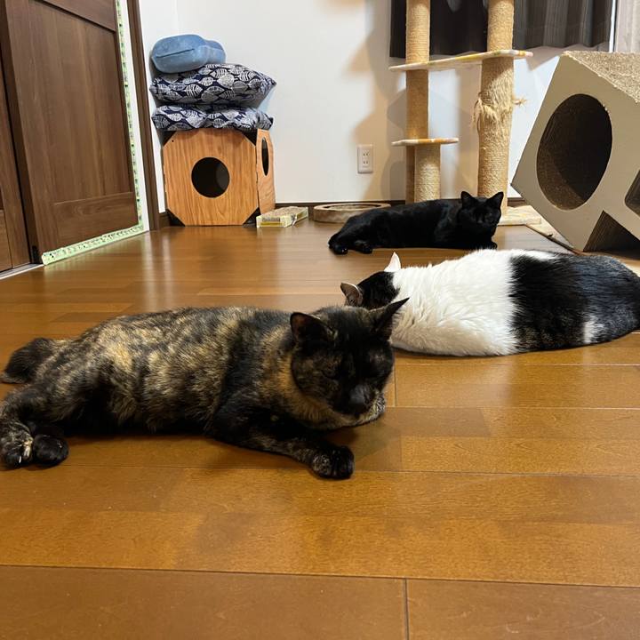 Be7087be bcdf 4186 9803 92bb1c726e8f 1701247138476