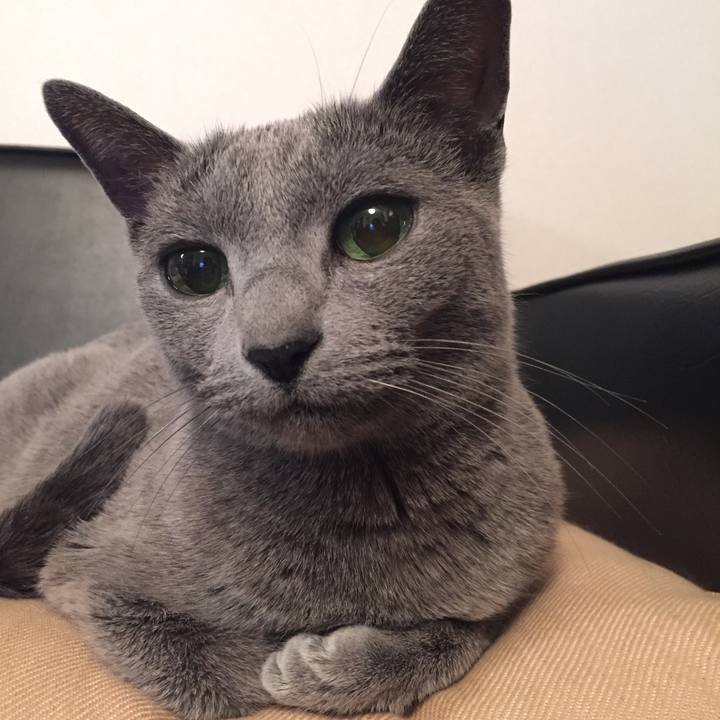 Be70c9b6 766b 4cb1 ad1e e74f8cf6683e 1518278260040