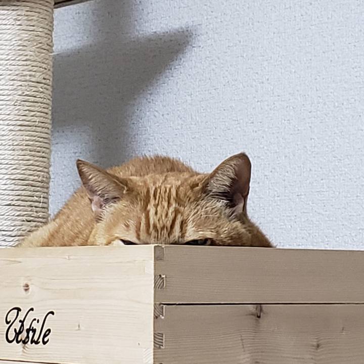 Be70d5e8 457f 461e bbdc 4719ce5731dd 1717914855510