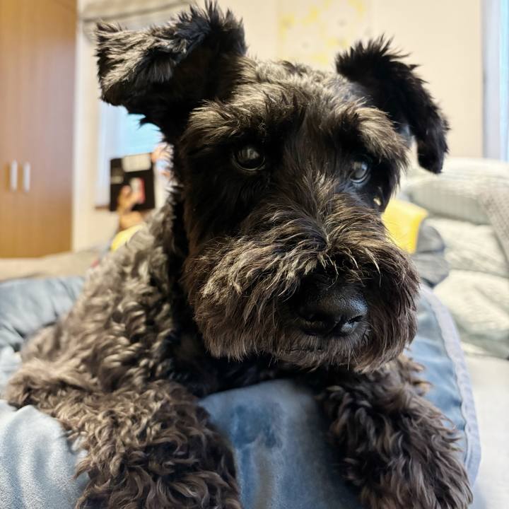 Be710afb 9c87 4d82 9524 028236c4ac59 1761456045846