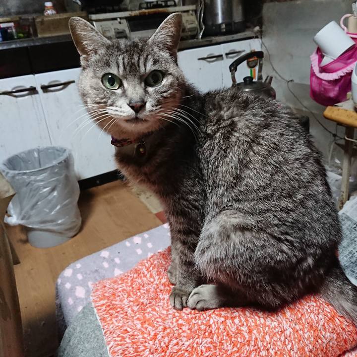 Be71143c 3bd1 49f3 8292 353505041417 1584993447075