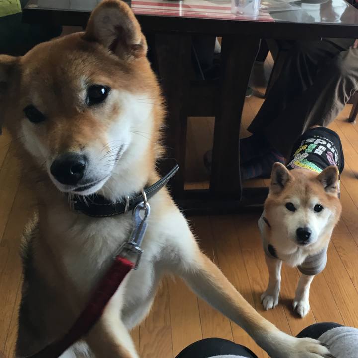 Be7120e1 d370 483b 8dcd 27fc8c5fecf0 1534896038117