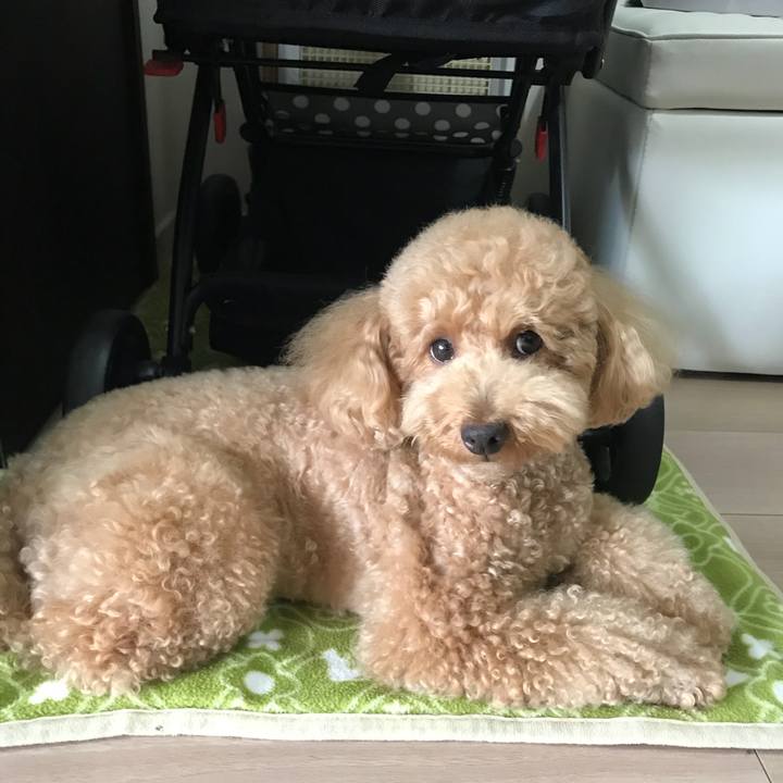 Be718108 a10d 45c6 85b0 c9e5d20cb5f5 1528780706169