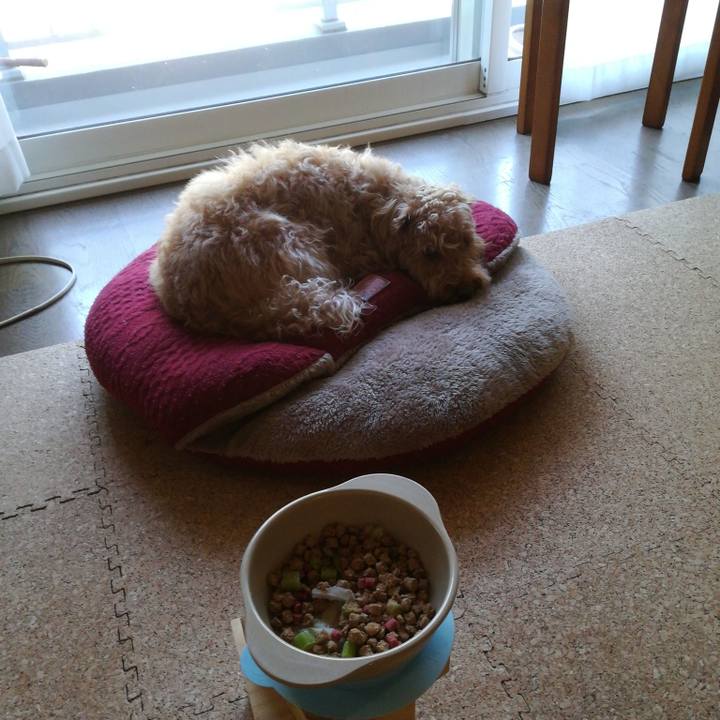 Be718785 4ba9 437b adc8 ccec1ca372c3 1528061209875