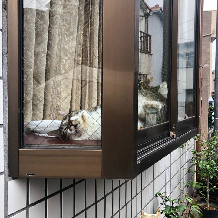 Be71aa21 e28e 4d8d 99aa 23f2ee898dc5 1566721605225