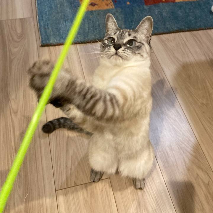 Be71e1e5 b605 4516 b36e 60a5c17eb606 1614505428572