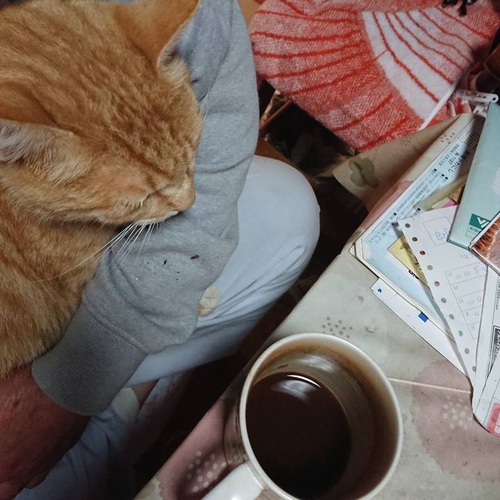 Be72325a 44b6 45b9 8e33 f2d9ac98c484 1592597543445