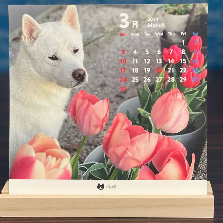 Be725bc2 54d2 4309 8f76 fe2730078552 1709288402144