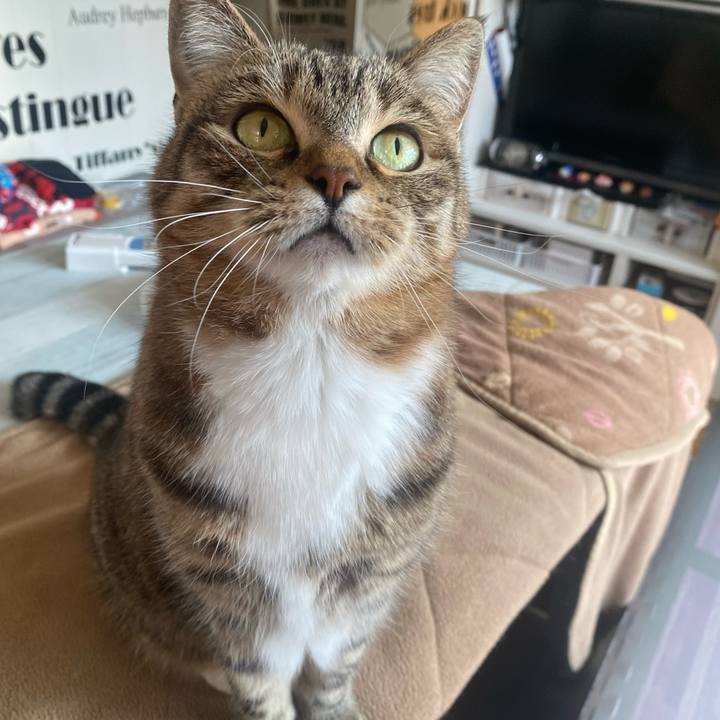 Be72d5fc fadb 4ac9 bc41 37cb3e26ad14 1646875959787