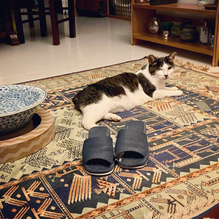 Be72e5cc 813a 4eba ae5f 4768cf30bd33 1609252161305