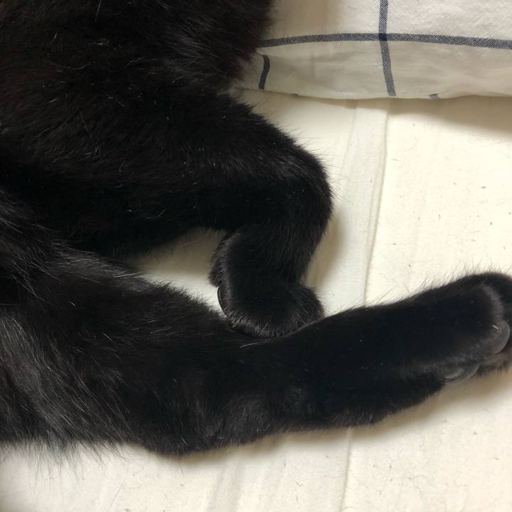 Be72fc1e 9355 4b2e 8dde e379efee5f0c 1539964430759