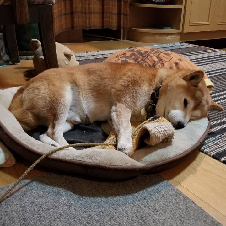 Be732212 6cdb 4768 82bf d96d21ca5ee0 1665392364609