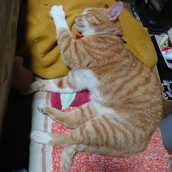 Be7327ae 34d4 4397 a3a4 1d8ed04a6317 1573556787371