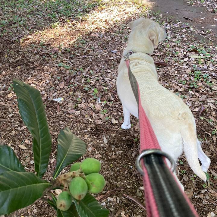 Be73581d 8138 48d6 8296 e083b2877b11 1715908596443