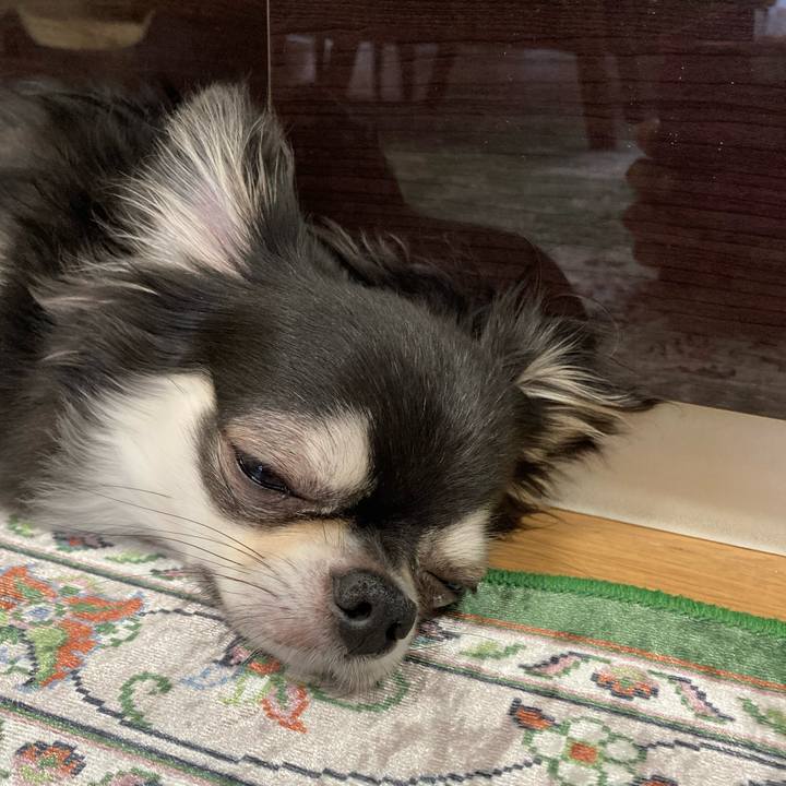 Be737709 836e 48c3 a753 842a368720d5 1659154204771