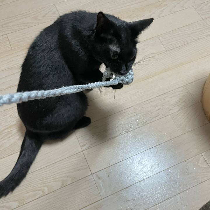 Be737876 41ae 4337 ae98 46f09d06ee5a 1680915314450