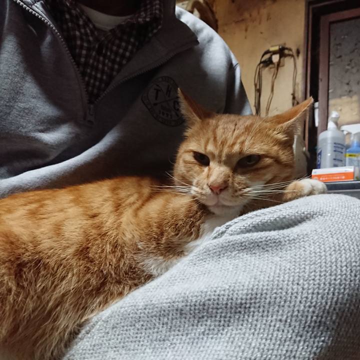 Be738653 fda3 4be7 bd6d 669da0cdde3d 1605943398045