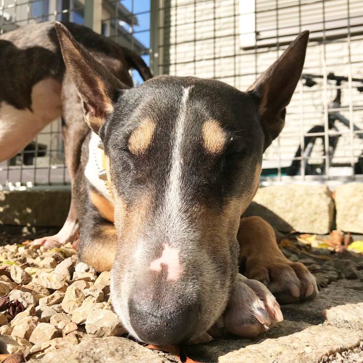 Be739d85 d36e 45b2 88e1 91d29d528706 1525410341589