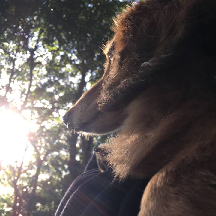 Be73c627 46a0 4da5 8435 ec693370da5d 1618838692882