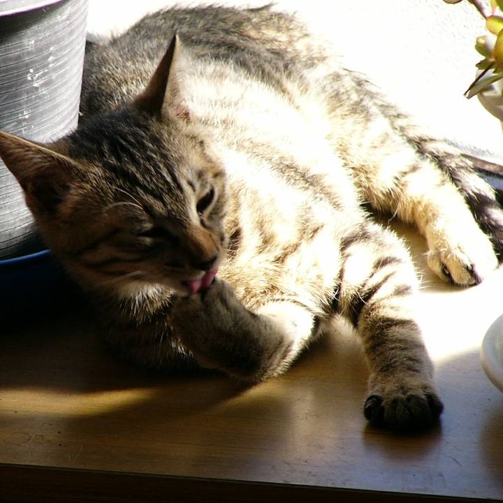 Be740969 e738 4953 80f9 880e5c262cd2 1561772001046