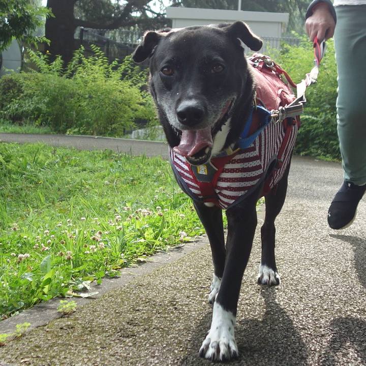 Be7429d7 ce4a 460e 9a60 01c7362154da 1687649957152