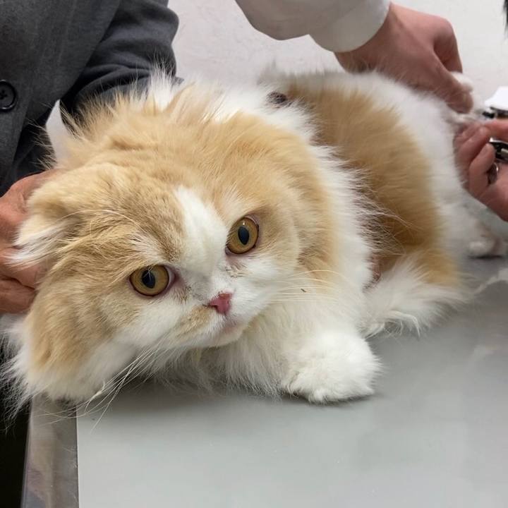 Be744ec9 555d 4e37 b8f4 7665951c7c01 1609600539561