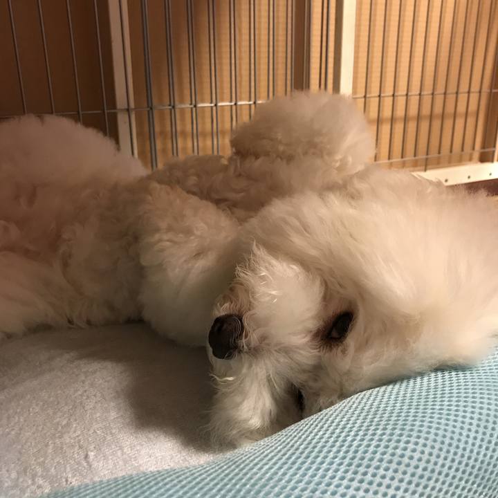 Be7452d2 ac58 4a8d af1c f821924bd346 1533821792253