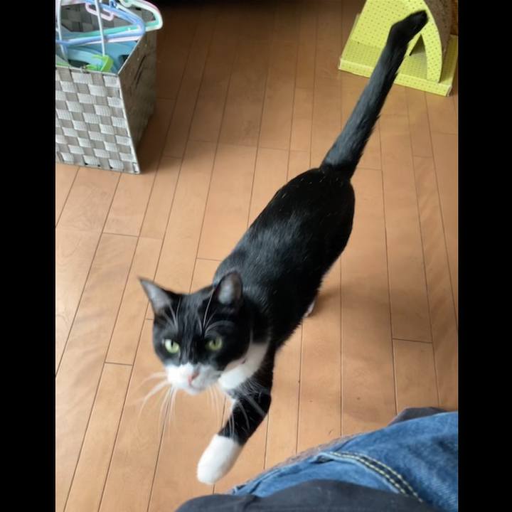 Be7499c5 c629 4c4b ac66 052db0d38f00 1663826164399