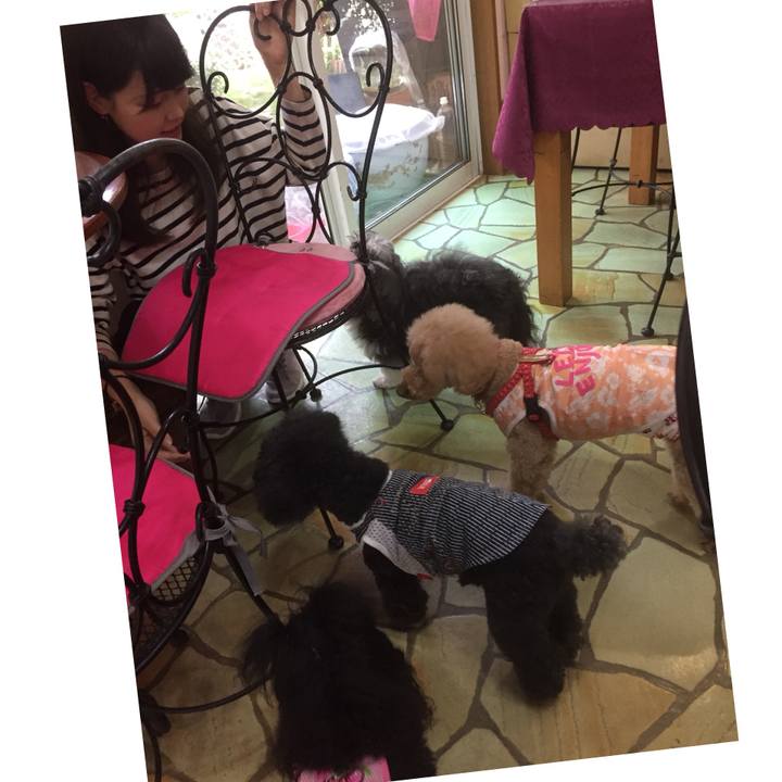 Be74b9d9 05fa 4843 8158 86b46b9dc3e0 1528616564938