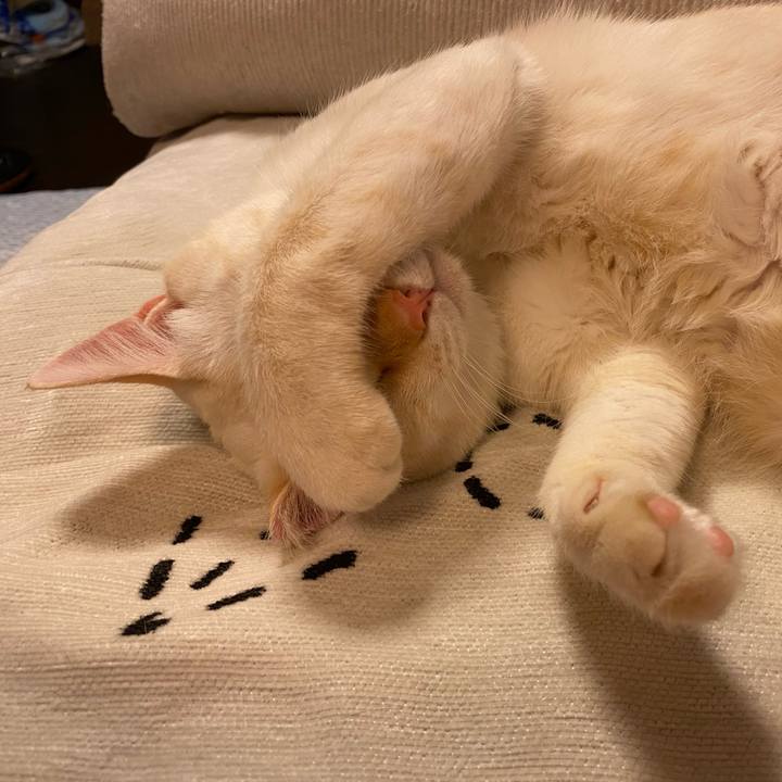 Be74cbb1 6dd5 479d 8c6f 59eeebcfc538 1729435282875