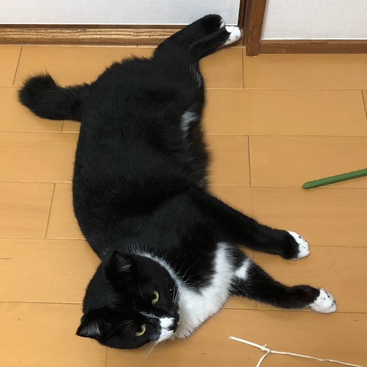 Be74d37a 133d 4e29 9e99 0a2e6a49957b 1552885837678