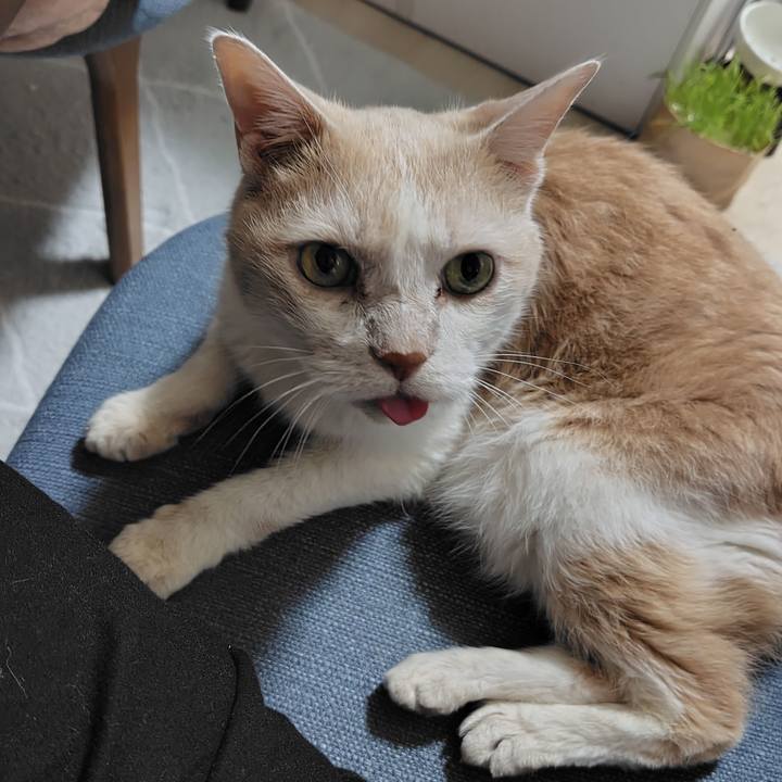 Be7569e1 3909 4d65 a541 3ccb152fc5d8 1729333685704