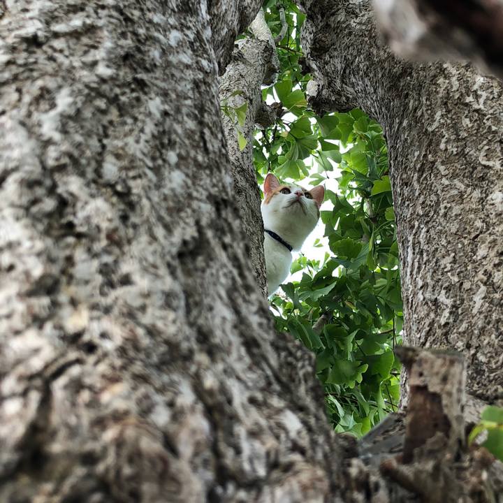 Be757dea 889c 48f1 bcea 9bc8a651563a 1539585539363