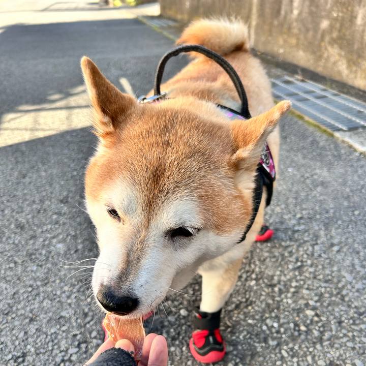 Be75c997 6f27 434b ac2b a5463a17e8e9 1732423355269