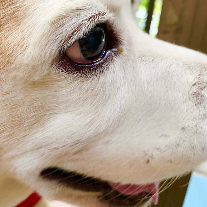 Be75fcae f40d 4f3e bffb 80716098b5cc 1665469553224