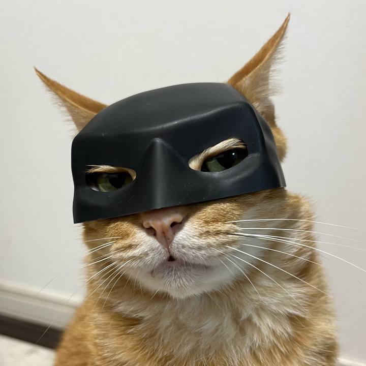 Be76302f 88af 4556 afee 95ef3b79cdb5 1752542450496