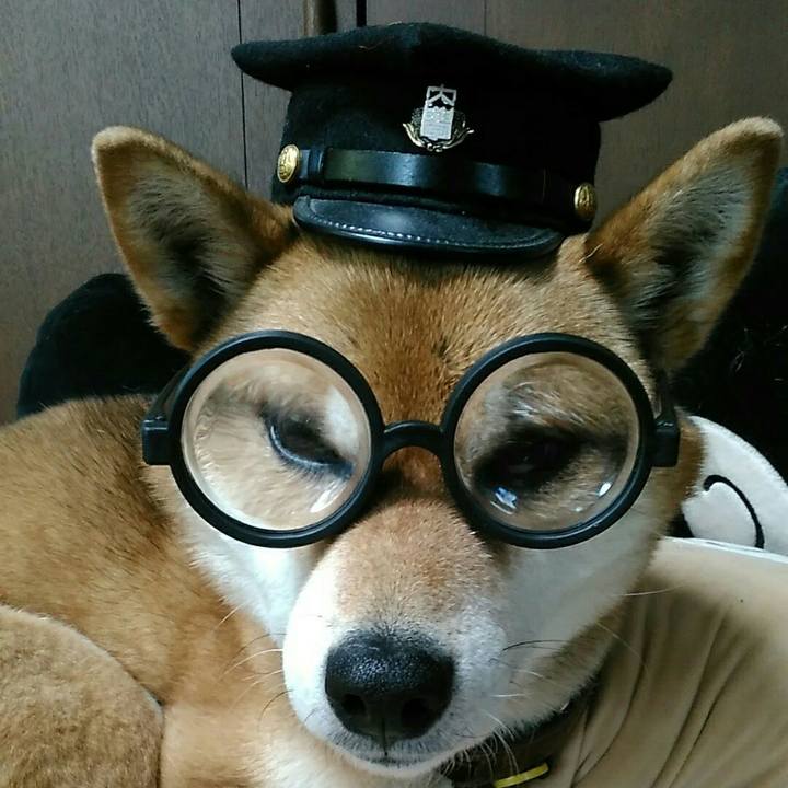 Be7635c5 3221 444c b4a9 2b817b12f557 1557107780901