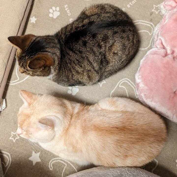 Be7645b2 12da 48e5 a6f7 f1df96d4aec3 1703169661501