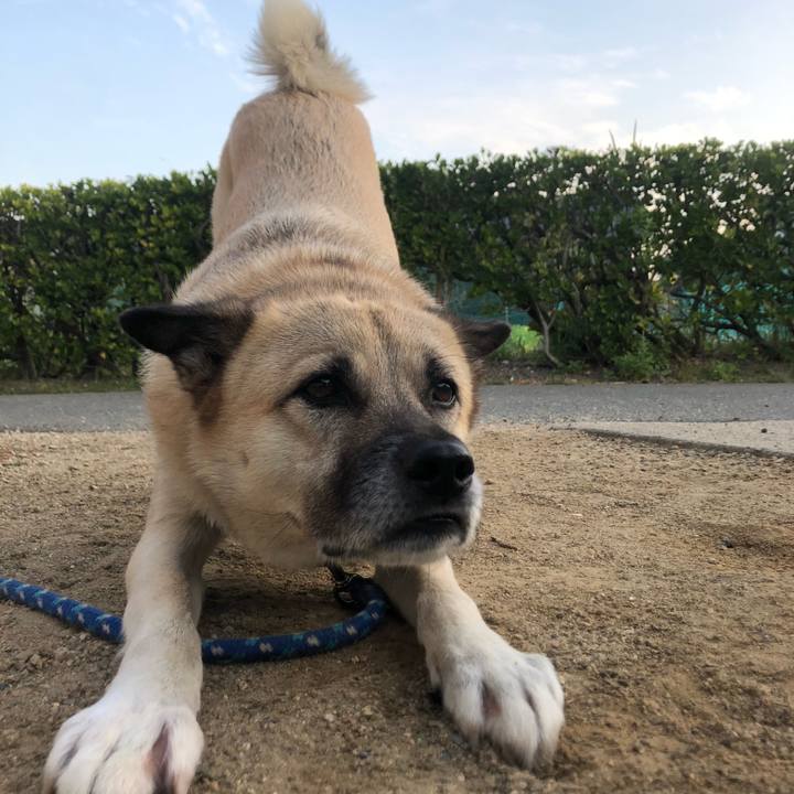 Be7655a3 8afe 4d97 ab49 f436753b6e91 1635593085470