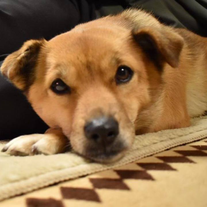 Be766948 cdb2 493b 885f 921b76bf28d3 1665412190380