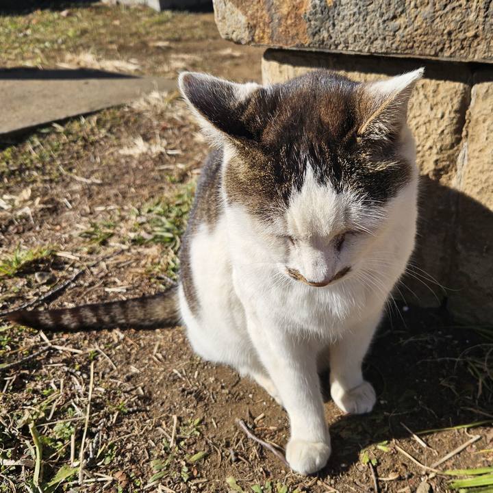 Be767e1e c7a1 4383 81d6 c5ff664c6ec6 1735986285434